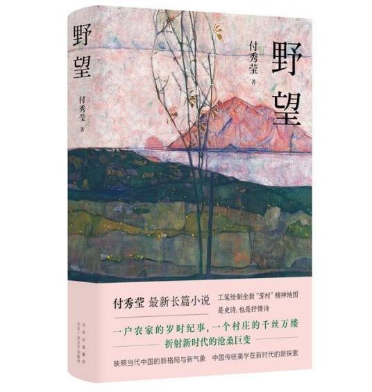 野望（付秀莹著长篇小说）