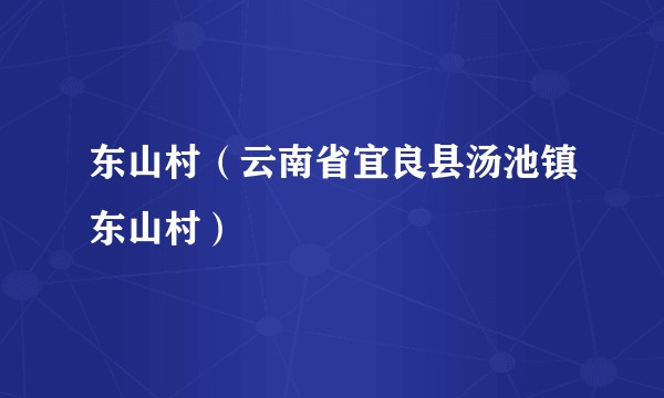 东山村（云南省宜良县汤池镇东山村）