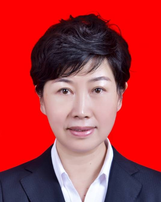 朱丽萍（宁夏回族自治区民政厅纪检监察组原组长）