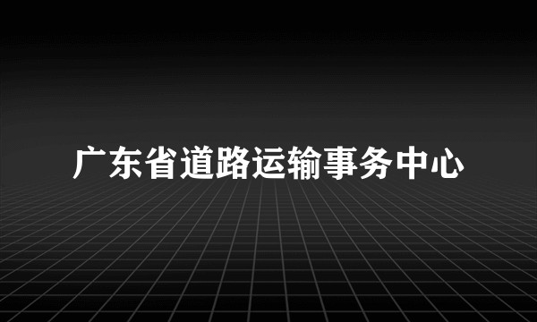 广东省道路运输事务中心