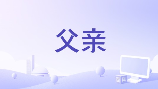 父亲（美国托米·维尔科拉执导的电影）