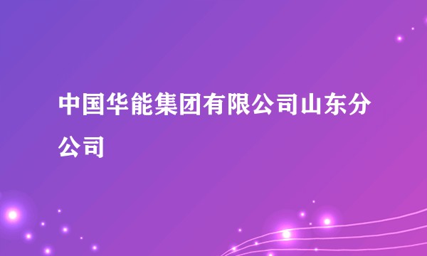 中国华能集团有限公司山东分公司
