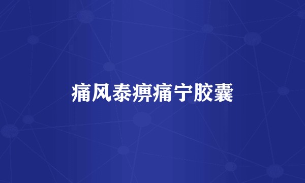 痛风泰痹痛宁胶囊