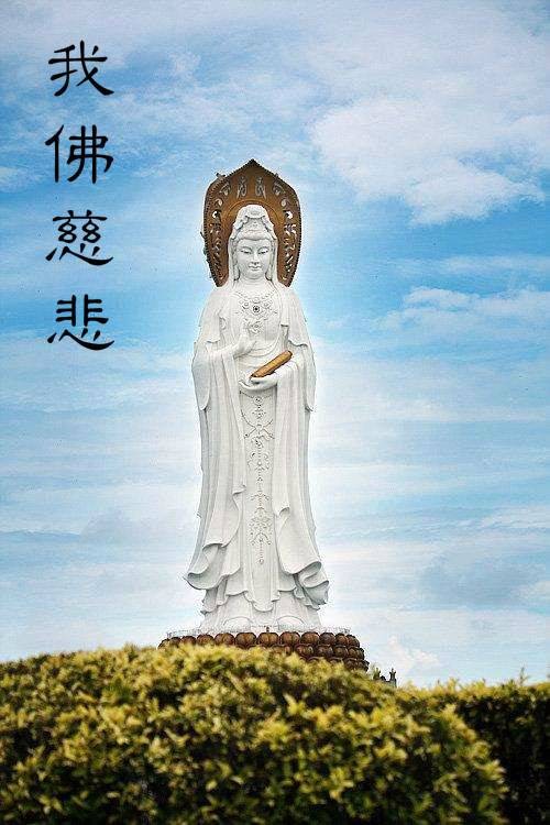 我佛慈悲（赵楠演唱网络歌曲）