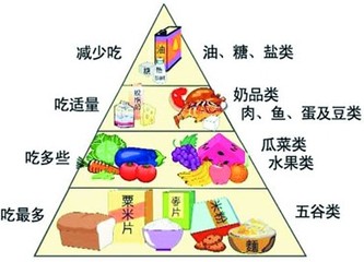 毒物学