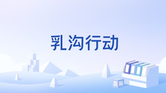 乳沟行动
