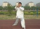和式太极拳(中国武术拳法)