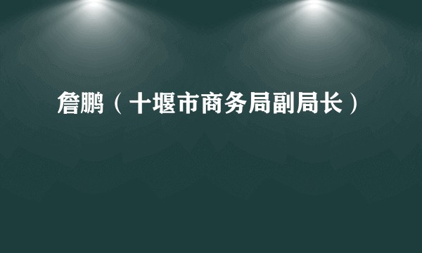 詹鹏（十堰市商务局副局长）
