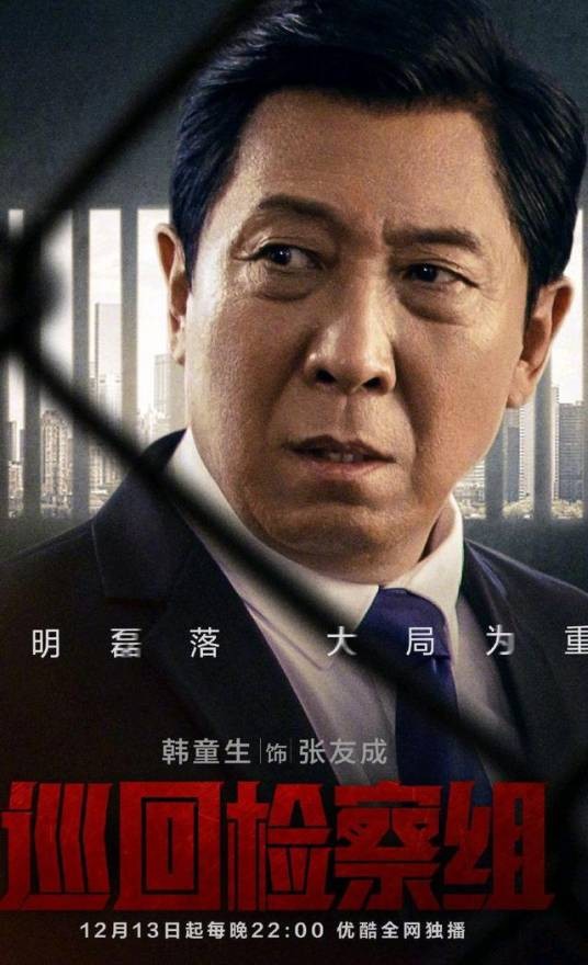 张友成(2020年电视剧《巡回检察组》中的重要角色)