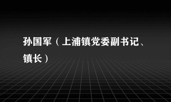 孙国军（上浦镇党委副书记、镇长）