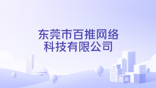 东莞市百推网络科技有限公司