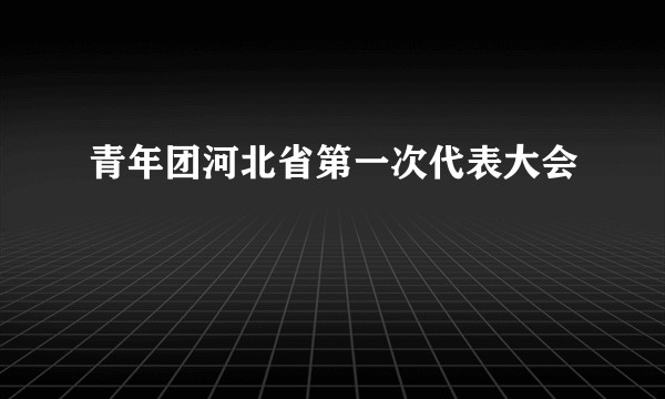 青年团河北省第一次代表大会