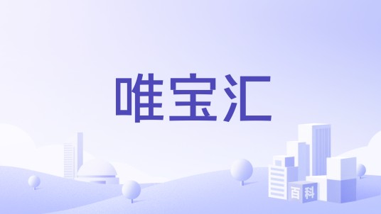 唯宝汇