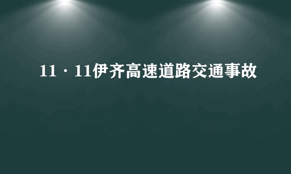 11·11伊齐高速道路交通事故