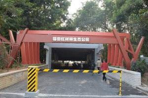 福田红树林生态公园