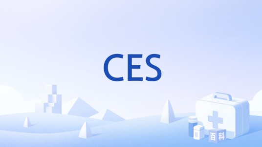 CES(马尾神经综合征(Cauda Equina Syndrome))