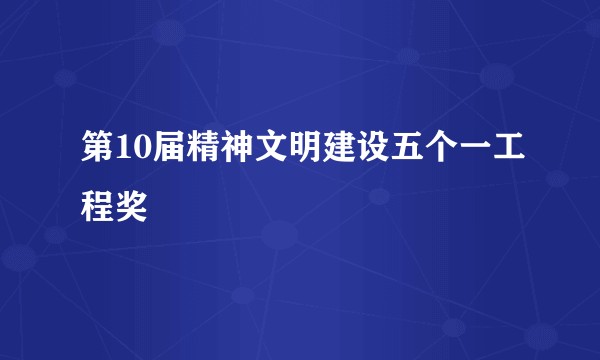 第10届精神文明建设五个一工程奖