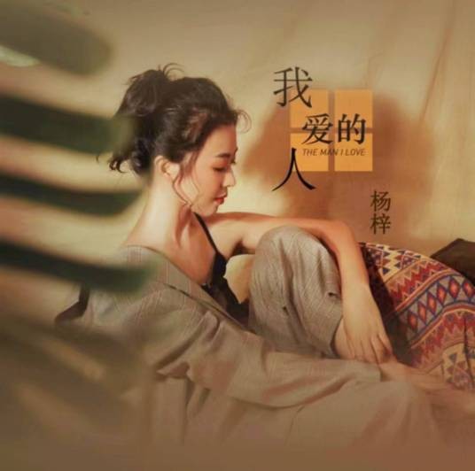 我爱的人(杨梓演唱的歌曲)