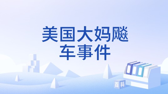 美国大妈飚车事件
