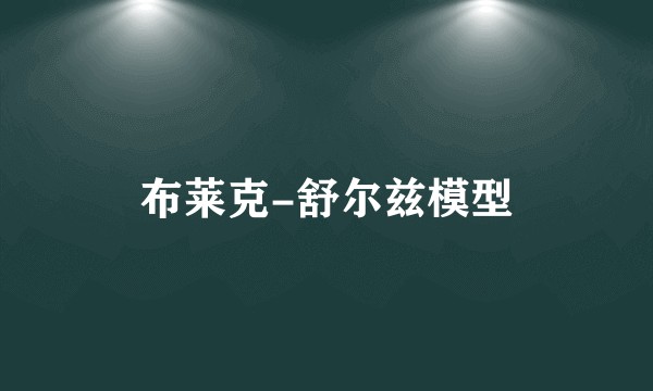 布莱克-舒尔兹模型