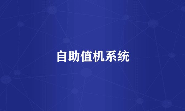 自助值机系统
