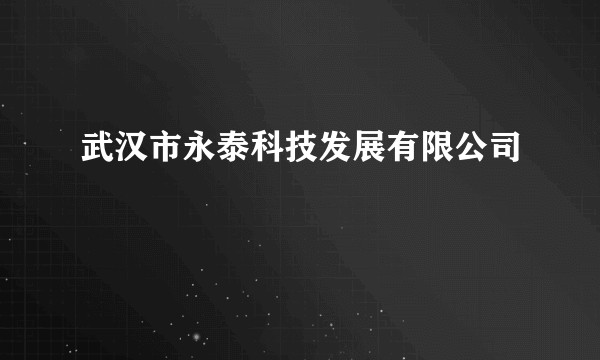 武汉市永泰科技发展有限公司