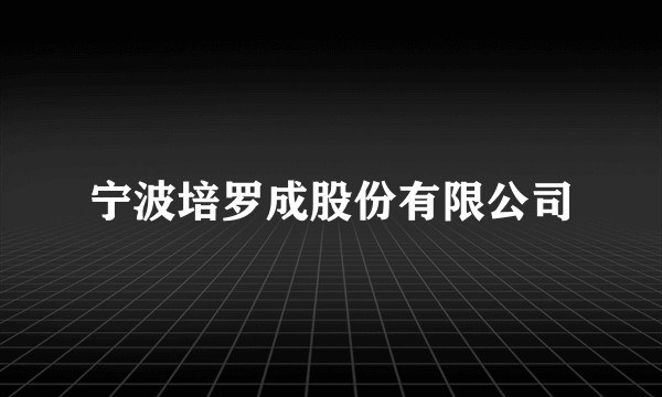 宁波培罗成股份有限公司
