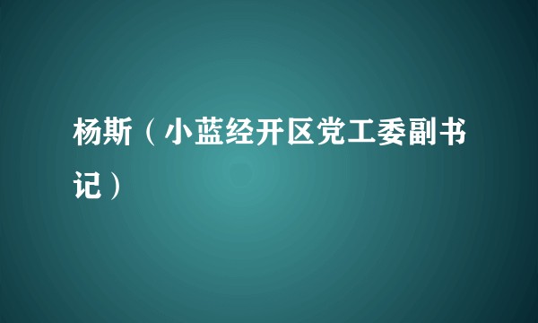 杨斯（小蓝经开区党工委副书记）