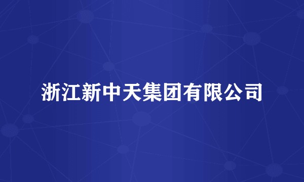 浙江新中天集团有限公司