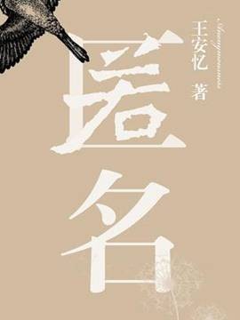 匿名（2016年人民文学出版社出版的图书）