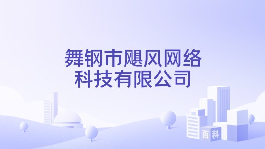 舞钢市飓风网络科技有限公司