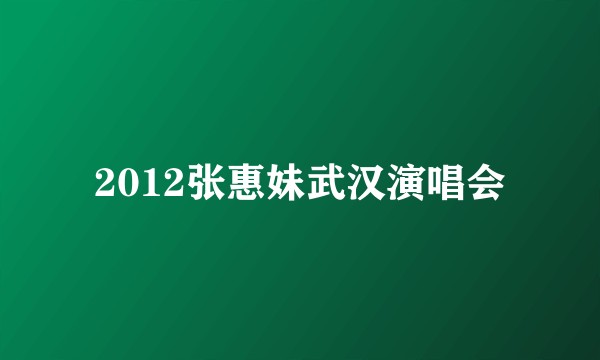 2012张惠妹武汉演唱会