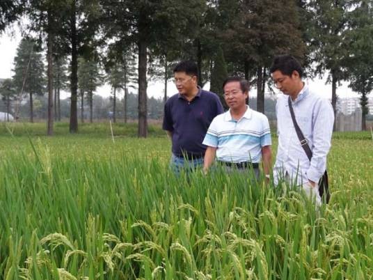 胡培松（中国工程院院士、水稻遗传育种专家）