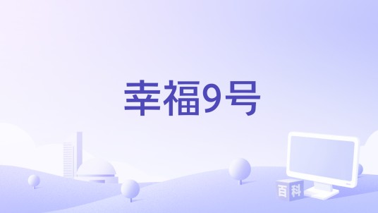 幸福9号（2016年电影）