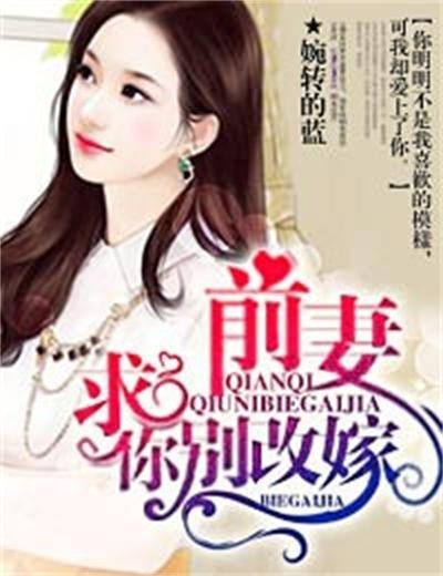 前妻，求你别改嫁（红袖添香小说网小说）