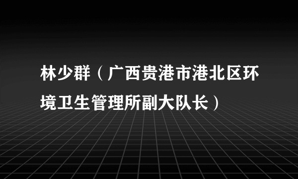 林少群（广西贵港市港北区环境卫生管理所副大队长）