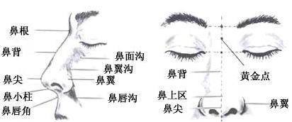 塌鼻梁