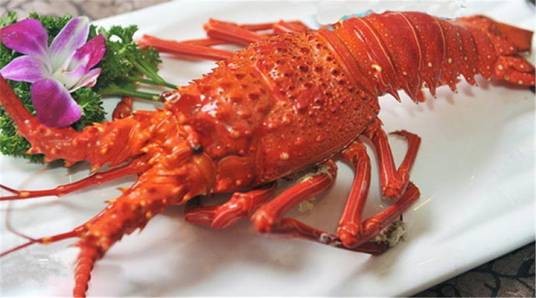 清蒸大龙虾