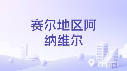 赛尔地区阿纳维尔