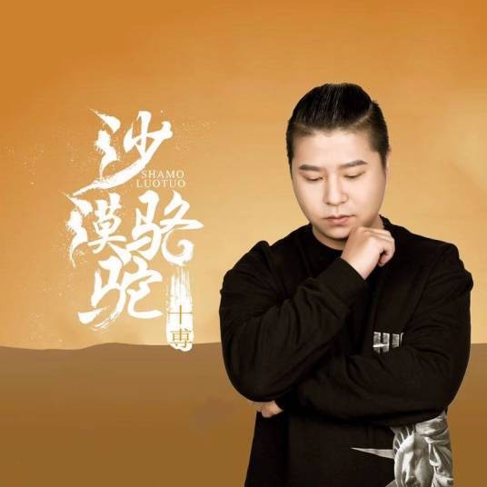 沙漠骆驼（2018年十尃演唱的流行歌曲）
