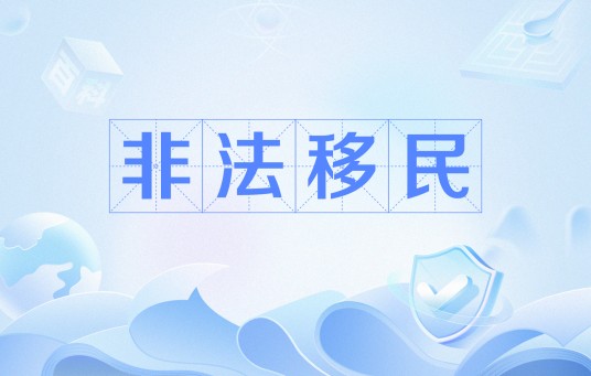 非法移民（未经授权而非法入境的个人或由于签证过期而丧失在途经国家或目的地国家合法地位的个人）