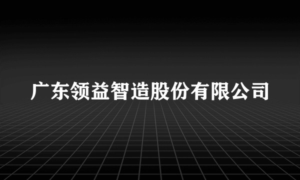 广东领益智造股份有限公司