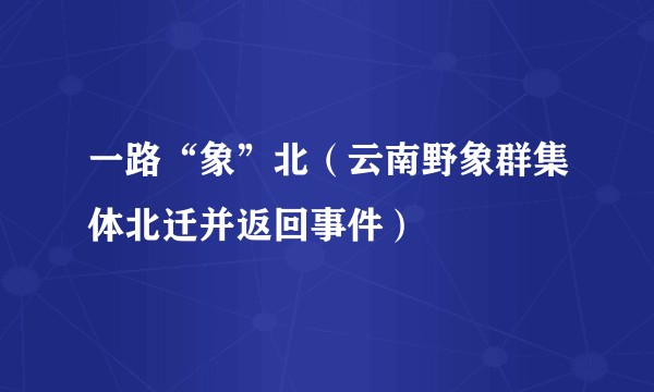 一路“象”北（云南野象群集体北迁并返回事件）