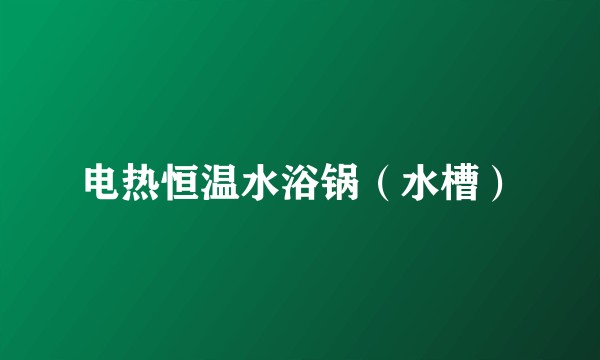 电热恒温水浴锅（水槽）