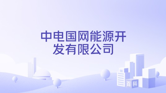 中电国网能源开发有限公司