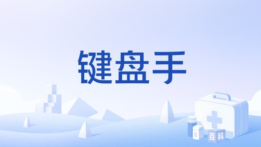 键盘手（另类职业）