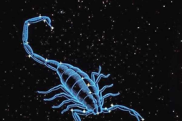 11月11号是什么星座?