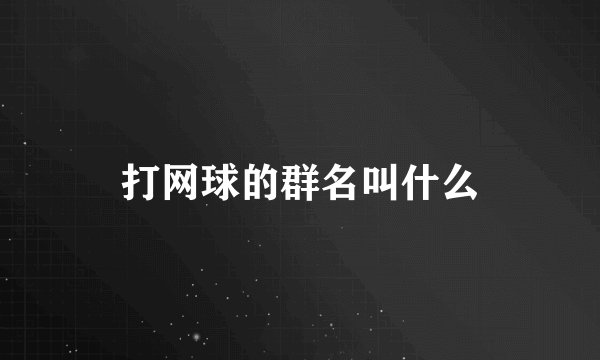 打网球的群名叫什么