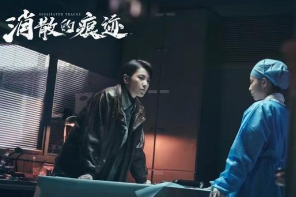 破案电视剧排行榜前十名