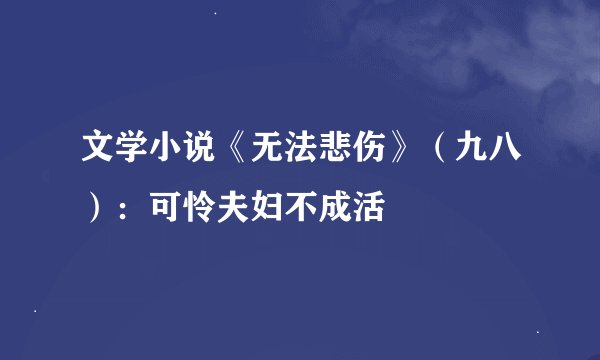 文学小说《无法悲伤》（九八）：可怜夫妇不成活